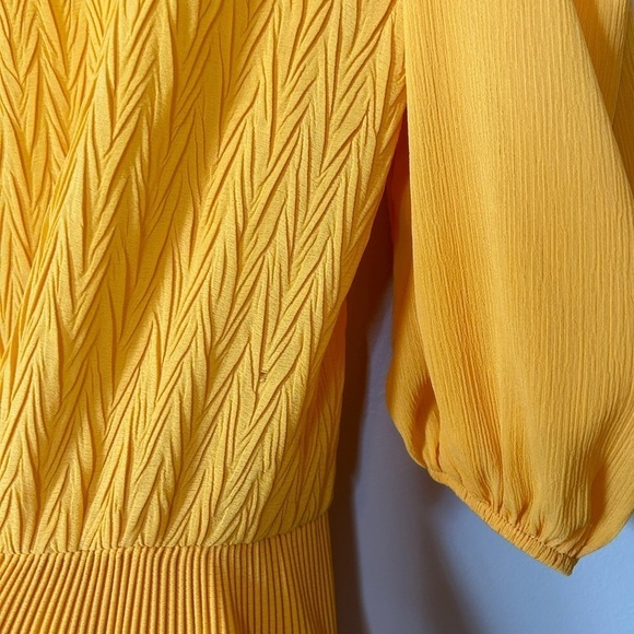 Zara Ruffle Blouse with Pleats in Yellow - Picture 10 of 10